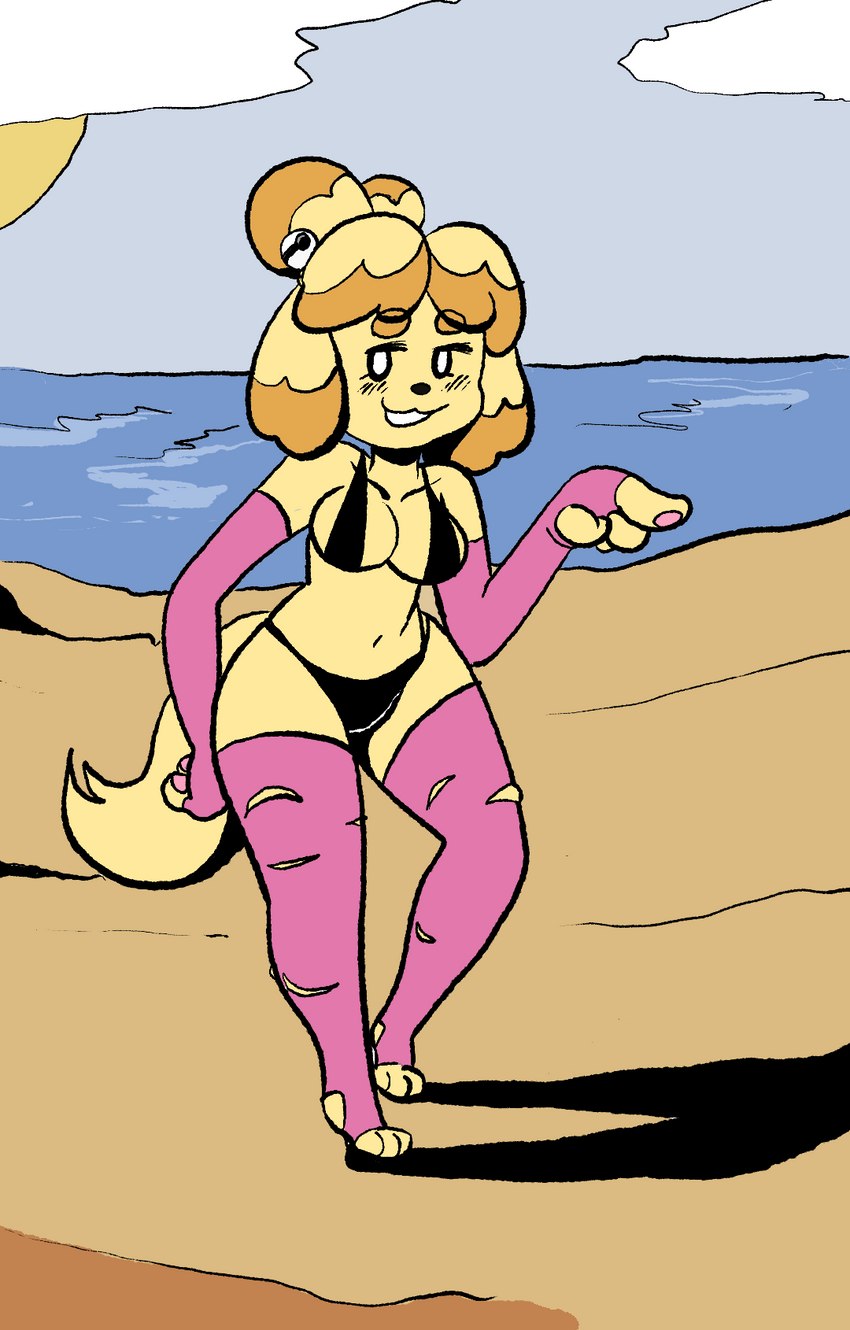 anthro bikini bottomwear clothing exposed_feet feet female footwear gesture hand_gesture hindpaw leggings legwear pants paws pointing solo swimwear thick_thighs toeless_footwear torn_bottomwear torn_clothing torn_pants two-piece_swimsuit kodota animal_crossing nintendo isabelle_(animal_crossing) canid canine canis domestic_dog mammal hi_res