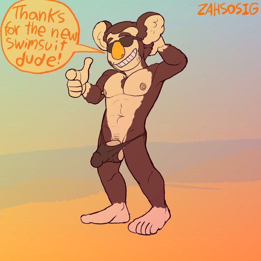 anthro balls bulge clothing eyewear genitals grin humanoid_genitalia humanoid_penis male penis smile speedo sunglasses swimwear zahsosig animal_crossing nintendo eugene_(animal_crossing) koala mammal marsupial vombatiform 1:1 hi_res