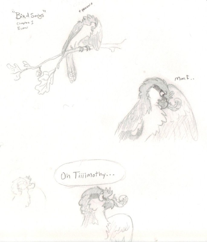 ambiguous_gender dialogue feather_preening feathers feral in_tree personal_grooming plant text tree windpaw timothy_(windpaw) avian bird shrike 2009 comic english_text monochrome traditional_media_(artwork)