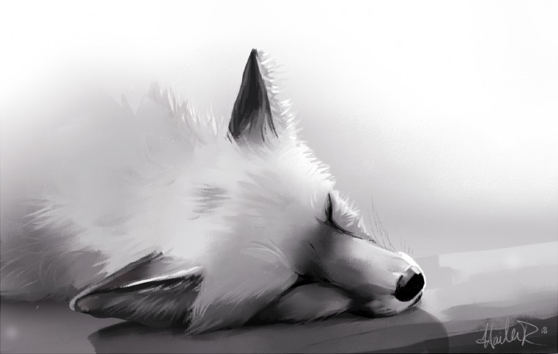 ambiguous_gender black_nose feral lying on_side sleeping solo taykoe canid canine fox mammal 2018 digital_media_(artwork) greyscale monochrome