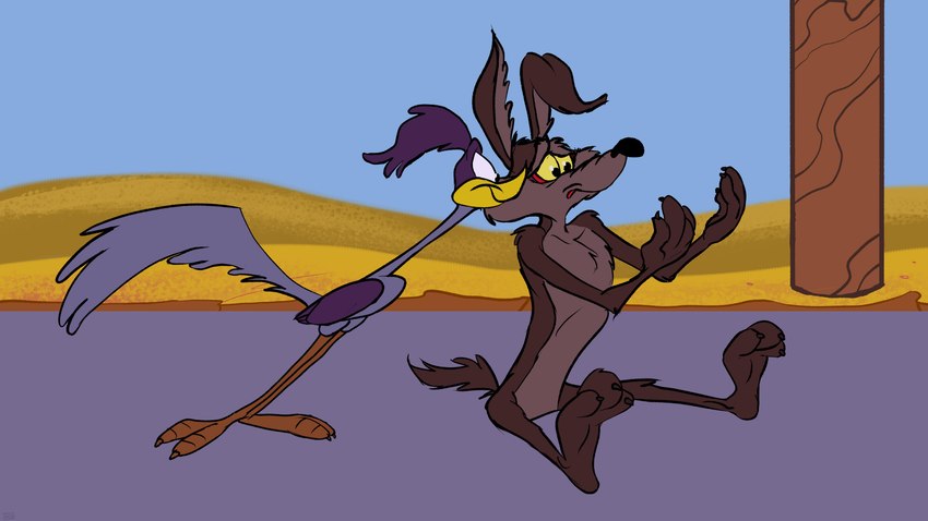 road runner and wile e. coyote (warner brothers and etc) created by stevethedragon