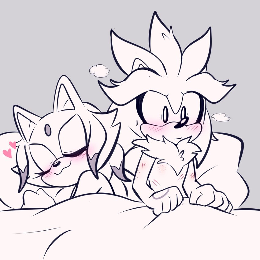 blaze the cat and silver the hedgehog (sonic the hedgehog (series) and etc) created by lou lubally