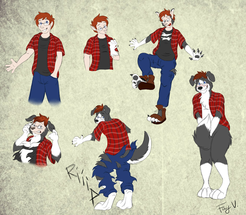 anthro biped blue_eyes clothing eyewear flannel_shirt glasses growth hair male modesty red_hair solo tail tail_covering_crotch tail_growth tail_growth_in_pants torn_clothing transformation transformation_sequence fayv jaxxy_fur border_collie canid canine canis collie domestic_dog herding_dog human humanoid mammal pastoral_dog sheepdog