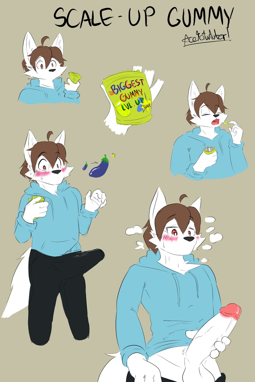 aceto the hoodie wolf created by acetofurtuber