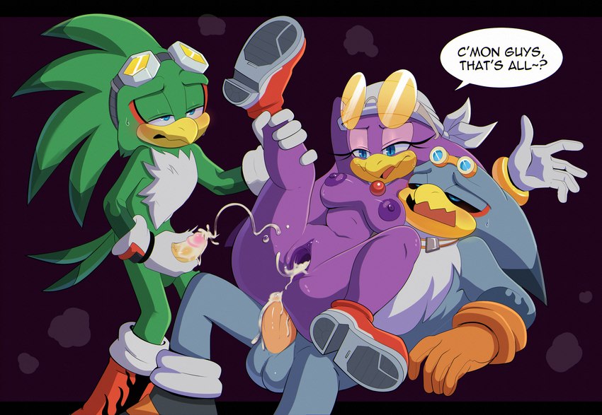 jet the hawk, storm the albatross, and wave the swallow (sonic the hedgehog (series) and etc) created by apinkgrape