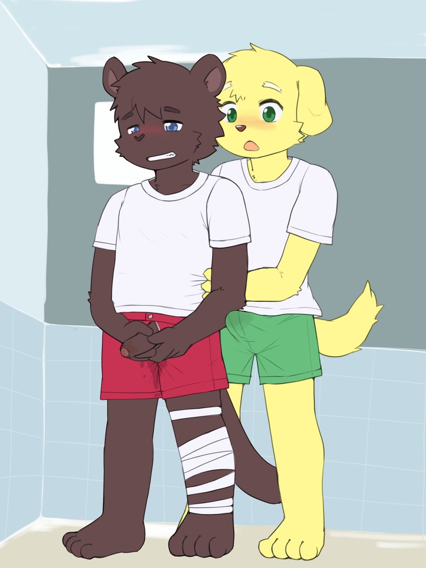 4_toes 5_fingers :o anthro anthro_on_anthro aroused bandage bandaged_leg barefoot bathroom biped blonde_eyebrows blonde_hair blue_eyes blue_tile blue_wall blush bodily_fluids body_blush bottomwear brown_arms brown_body brown_ears brown_eyebrows brown_face brown_feet brown_fingers brown_foreskin brown_fur brown_glans brown_hair brown_hands brown_inner_ear brown_legs brown_neck brown_nose brown_penis brown_tail brown_toes button_(fastener) ceiling clenched_teeth clothed clothed_male clothing clothing_grab duo erection erection_under_bottomwear erection_under_clothing erection_under_shorts eyebrows feet fingers floor floppy_ears foreskin fully_clothed fully_clothed_anthro fully_clothed_male fur genital_fluids genitals glans green_clothing green_eyes grey_button_(fastener) hair helping holding_another holding_own_penis holding_partner holding_penis humanoid_feet humanoid_genitalia humanoid_hands humanoid_penis imminent_peeing imminent_urine inside iris long_tail looking_at_another looking_at_another's_genitalia looking_at_another's_penis looking_at_genitalia looking_at_partner looking_at_partner's_genitalia looking_at_partner's_penis looking_at_penis lop_ears male male/male male_anthro matching_shirts monotone_body monotone_face monotone_feet monotone_fur monotone_genitals monotone_hair monotone_hands monotone_head monotone_inner_ear monotone_legs monotone_penis monotone_tail montone_arms narrowed_eyes nervous open_mouth penis penis_blush penis_poking_out penis_through_clothing penis_through_fly pink_mouth plantigrade precum precum_through_bottomwear precum_through_clothing precum_through_shorts pupils raised_eyebrows raised_inner_eyebrows red_bottomwear red_clothing red_shorts shirt shirt_grab short_tail shorts shota standing t-shirt tail tail_size_difference tan_floor teeth tile tile_wall toes topwear topwear_grab unretracted_foreskin urethra urine_on_bottomwear urine_on_clothing urine_on_shorts wall_(structure) wet wet_clothing white_bandages white_clothing white_shirt white_t-shirt white_topwear wide_eyed yellow_arms yellow_ears yellow_face yellow_feet yellow_fingers yellow_hands yellow_neck yellow_tail yellow_toes young young_anthro young_male young_on_young roo310 bird_dog canid canine canis domestic_dog golden_retriever hunting_dog mammal retriever 2024 3:4 absurd_res digital_media_(artwork) hi_res