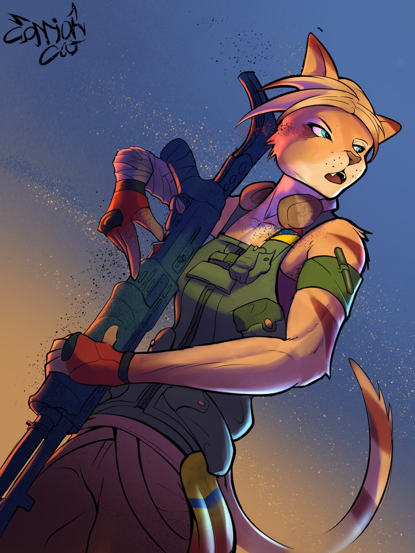 anthro athletic athletic_female blonde_hair blue_eyes bra bulletproof_vest clothing female gun hair handwear legwear military ranged_weapon simple_background sports_bra sunset tactical_gear ukraine ukrainian_flag underwear weapon carrioncat 3:4 hi_res