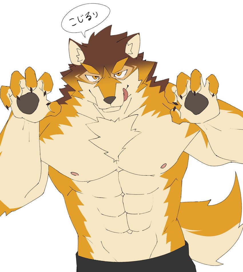 abs claws countershading male muscular muscular_male navel nipples pawpads pecs shirtless text tongue sakehabera lifewonders live_a_hero barrel_(live_a_hero) canid canine canis mammal wolf hi_res japanese_text