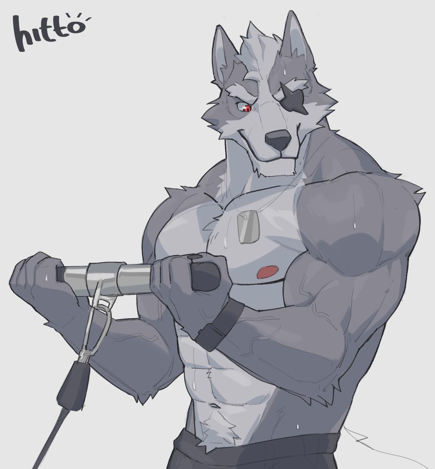 wolf o'donnell (nintendo and etc) created by hittoga