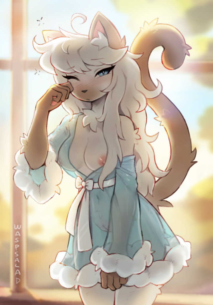 anthro areola arm_tuft backlighting biped black_nose blue_clothing blue_dress blue_eyes blurred_background blush blush_lines blushing_at_viewer breasts brown_arms brown_body brown_countershading brown_ears brown_fur brown_tail brown_tuft chest_tuft clothed clothed_anthro clothed_female clothing countershade_face countershading day dress eyebrow_through_hair eyebrows eyelashes female female_anthro fingers front_view fur fur_trim_(clothing) fur_tuft genitals hair handpaw humanoid_hands inner_ear_fluff iris light long_hair long_tail looking_at_viewer medium_breasts messy_hair monotone_hair monotone_tail mouth_closed multicolored_body multicolored_fur navel nipples off_shoulder one_eye_closed paws pink_inner_ear pupils raised_tail reverse_countershading slit_pupils solo standing sunlight tail text tired translucent translucent_clothing translucent_hair tuft two_tone_body two_tone_fur vulva white_body white_fur white_hair white_inner_ear_fluff white_pupils white_sclera white_text white_tuft waspsalad pearl_(waspsalad) domestic_cat felid feline felis mammal 2026 artist_name digital_drawing_(artwork) digital_media_(artwork) hi_res lighting portrait three-quarter_portrait watermark