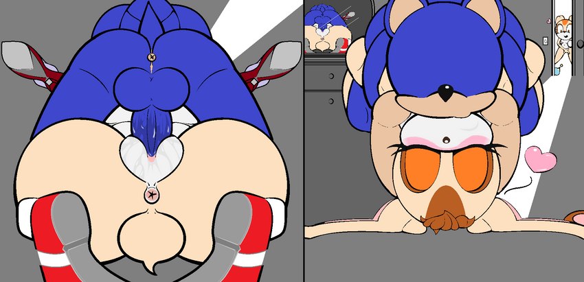 cream the rabbit, sonic the hedgehog, and vanilla the rabbit (sonic the hedgehog (series) and etc) created by lil scooter56