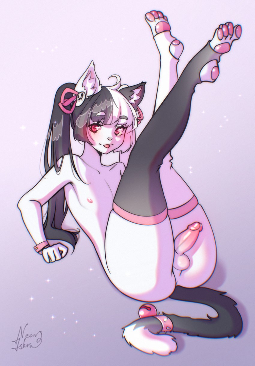 snaccy cat created by neon-chan