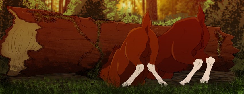 anus ass_up balls butt duo feral forest fur genitals grass log male nude outside plant raised_tail scut_tail short_tail stuck tail tail_anus trapped tree wood zafara_(artist) brother_bear disney deer mammal moose new_world_deer 2021