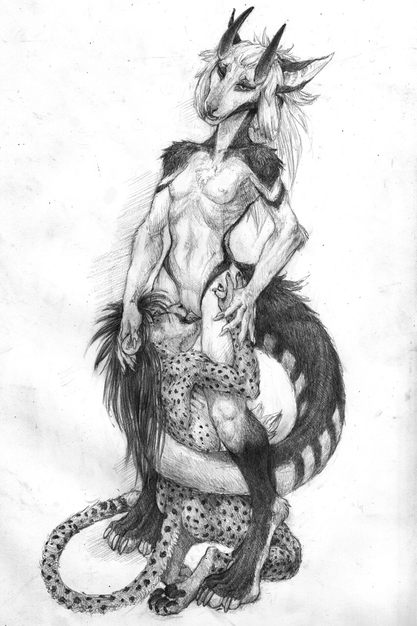 anthro duo female male male/female oral a_inc a_inc_(character) natalya_(maddemoncat) cheetah demon domestic_cat felid feline felis hybrid mammal oriental_shorthair unknown_species hi_res monochrome