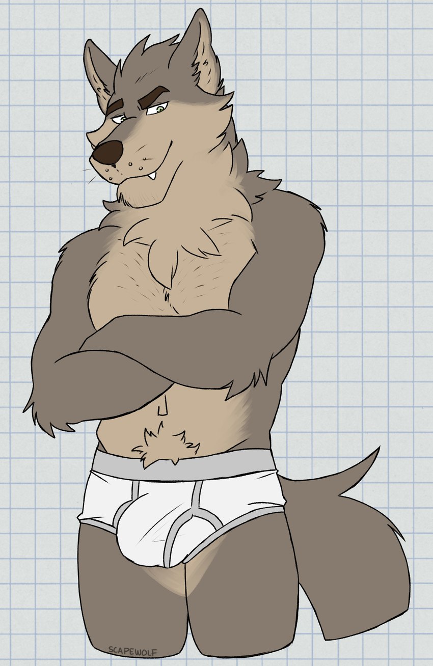 anthro bedroom_eyes belly biped body_hair briefs briefs_only brown_eyebrows brown_nose bulge checkered checkered_background chest_hair clothed clothing crossed_arms eyebrows fur green_eyes grey_body grey_fur happy_trail inner_ear_fluff looking_down male male_anthro mane multicolored_body muscular muscular_anthro muscular_male narrowed_eyes navel neck_tuft partially_clothed partially_clothed_male pattern_background raised_eyebrow seductive simple_background solo standing tan_body tan_fur tan_inner_ear tan_inner_ear_fluff toothy_grin topless tuft underwear underwear_only whiskers white_background white_briefs white_clothing white_underwear unsafescapewolf far_beyond_the_world_(series) ranok_(far_beyond_the_world) canid canine canis mammal wolf 2024 digital_drawing_(artwork) digital_media_(artwork) hi_res portrait three-quarter_portrait