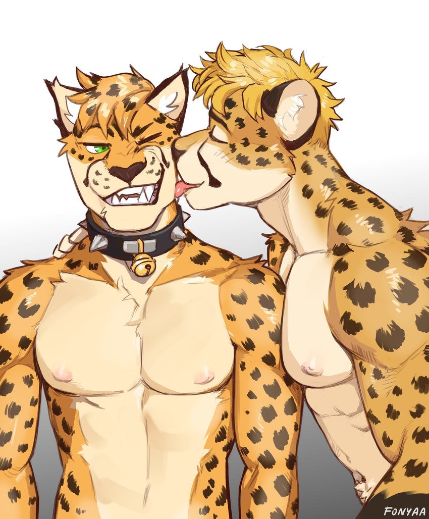 anthro anthro_on_anthro bell cheek_lick collar duo eyebrows eyes_closed face_lick fur hair hand_on_shoulder licking looking_at_another male male/male muscular muscular_anthro muscular_male narrowed_eyes navel nipples nude one_eye_closed pecs simple_background smile spiked_collar spikes standing teeth tongue tongue_out tuft white_background fonyaa cheetah felid feline mammal 2023 absurd_res hi_res signature