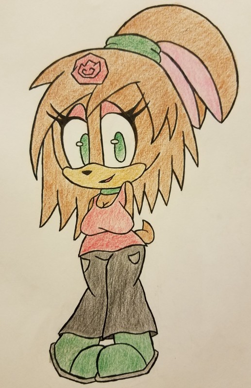 fan character (sonic the hedgehog (series) and etc)