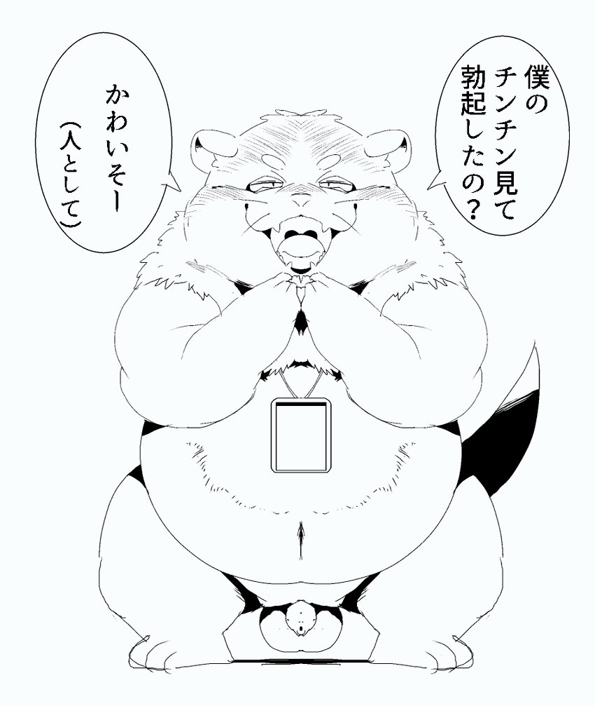 anthro balls belly biped flaccid foreskin genitals humanoid_genitalia humanoid_penis kemono male overweight overweight_male penis simple_background small_penis solo text white_background sigenoya takotyutyu mammal mustelid otter 2022 japanese_text monochrome