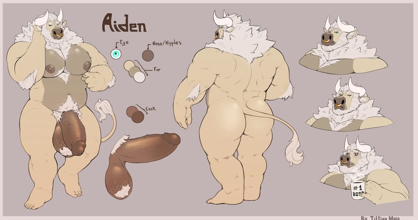 aiden created by tilionmaia