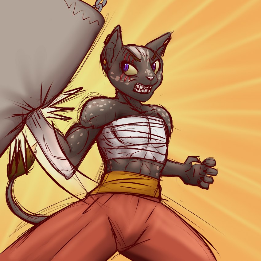 ambiguous_gender anthro chest_wraps fierce hairless monk punch solo tabletop_game wraps espent dungeons_and_dragons hasbro wizards_of_the_coast domestic_cat felid feline felis hairless_cat mammal sphynx_(cat) tabaxi 1:1 hi_res