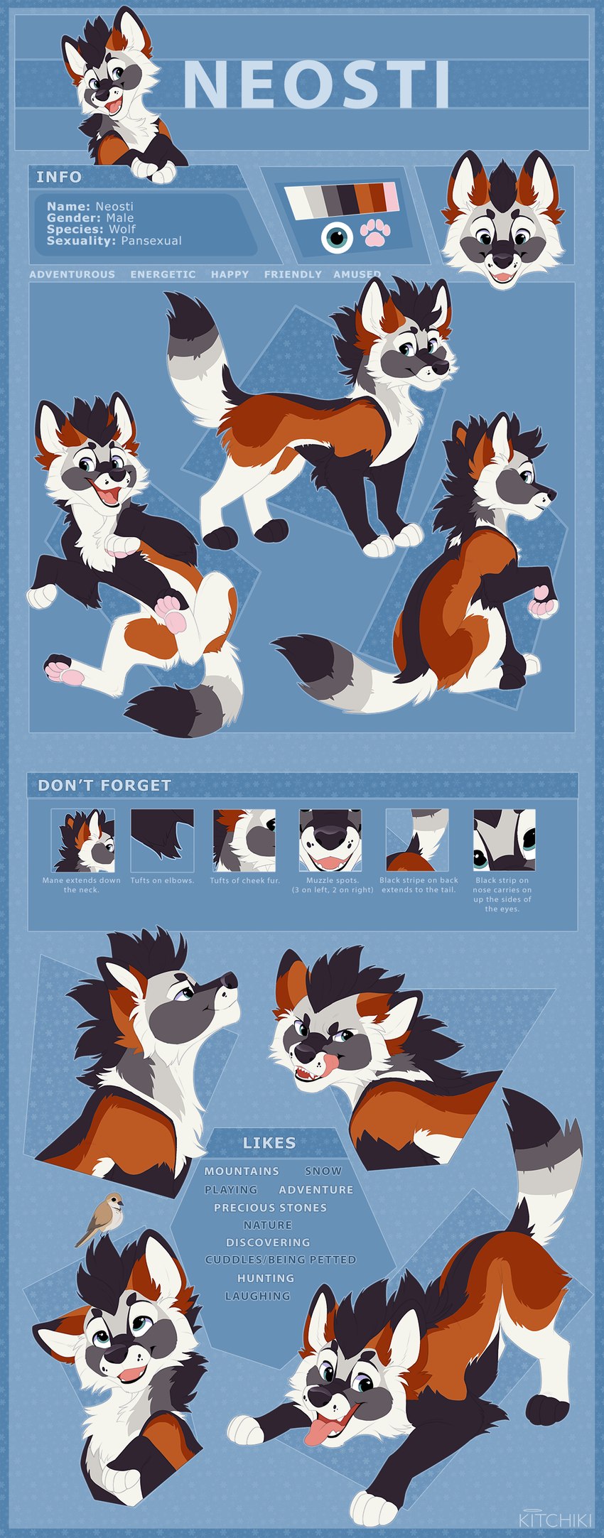 black_hair blue_eyes brown_body brown_fur feral fur hair male open_mouth smile solo teeth text tongue white_body white_fur kitchiki avian bird canid canine canis mammal wolf 2021 absurd_res digital_media_(artwork) english_text hi_res model_sheet