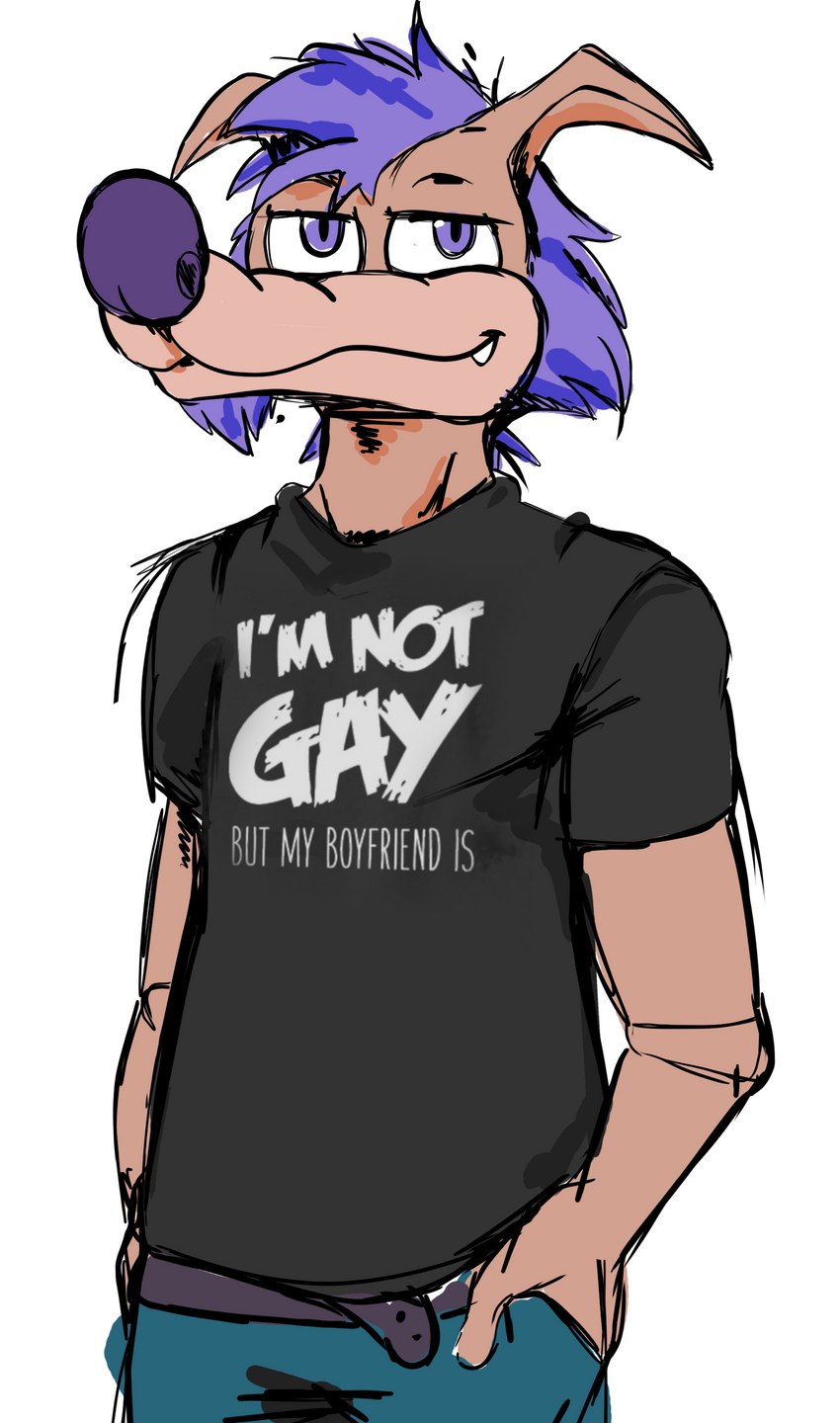 clothed clothing hair humor male purple_eyes purple_hair purple_sclera solo stated_bisexuality stated_sexuality stock_image teeth text text_on_clothing 4chan_anon unknown_artist meme_clothing sega sonic_the_hedgehog_(series) sonic_underground tamers12345's_sonic_underground sleet_(sonic_underground) canid canine canis mammal wolf absurd_res hi_res meme sketch