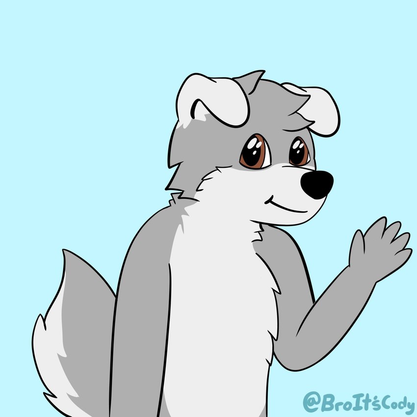 anthro black_nose blue_background brown_eyes chest_tuft floppy_ears fur grey_body grey_fur grey_hair grey_tail hair male monotone_hair multicolored_body multicolored_fur simple_background solo tail tuft two_tone_body two_tone_fur two_tone_tail white_body white_ears white_fur white_tail broitscody cody_(broitscody) canid canine canis domestic_dog husky mammal nordic_sled_dog spitz 1:1 2020 hi_res watermark