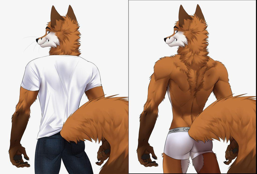 anthro bottomwear boxer_briefs butt clothing fluffy fluffy_tail fur grin looking_at_viewer looking_back male orange_body orange_fur shirt shorts simple_background smile solo t-shirt tail topwear underwear white_background white_clothing white_underwear koul calvin_klein scott_(scottthefox94) canid canine fox mammal