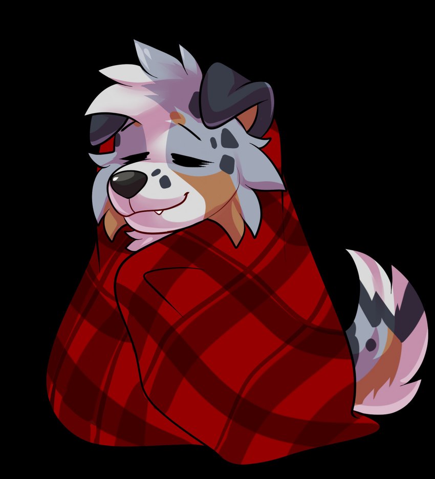 anthro bedding blanket calm comfortable comfy cozy fluffy male plaid relaxing snug solo tired wrapped rindeadsong beta_(betaetadelota) australian_shepherd australianshepherd canid canine canis domestic_dog herding_dog mammal pastoral_dog sheepdog hi_res