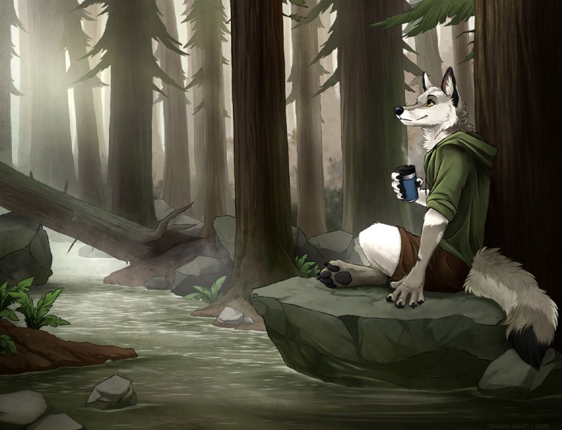 5_fingers anthro black_nose day detailed_background fingers forest fur male outside plant sitting solo tree water white_body white_fur yellow_eyes blackteagan canid canine fox mammal 2018 digital_media_(artwork)