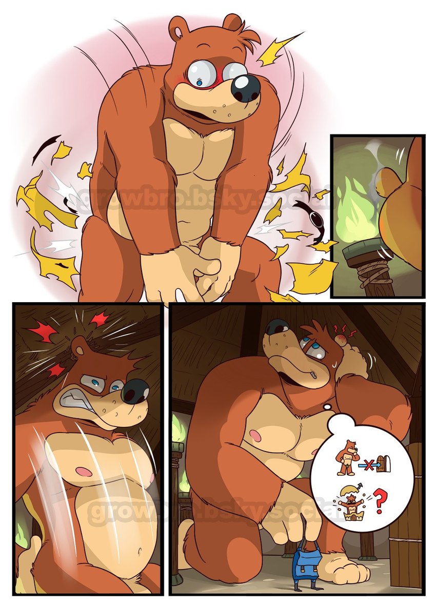 accident accidental_exposure anthro belly blue_eyes bottomwear brown_body brown_fur clothing convenient_censorship destroyed_clothing embarrassed flaccid fur genitals growing growth macro male nipples nude pecs penis shorts slightly_chubby solo torn_clothing wardrobe_malfunction eclipticafusion banjo-kazooie rareware banjo_(banjo-kazooie) bear mammal comic hi_res