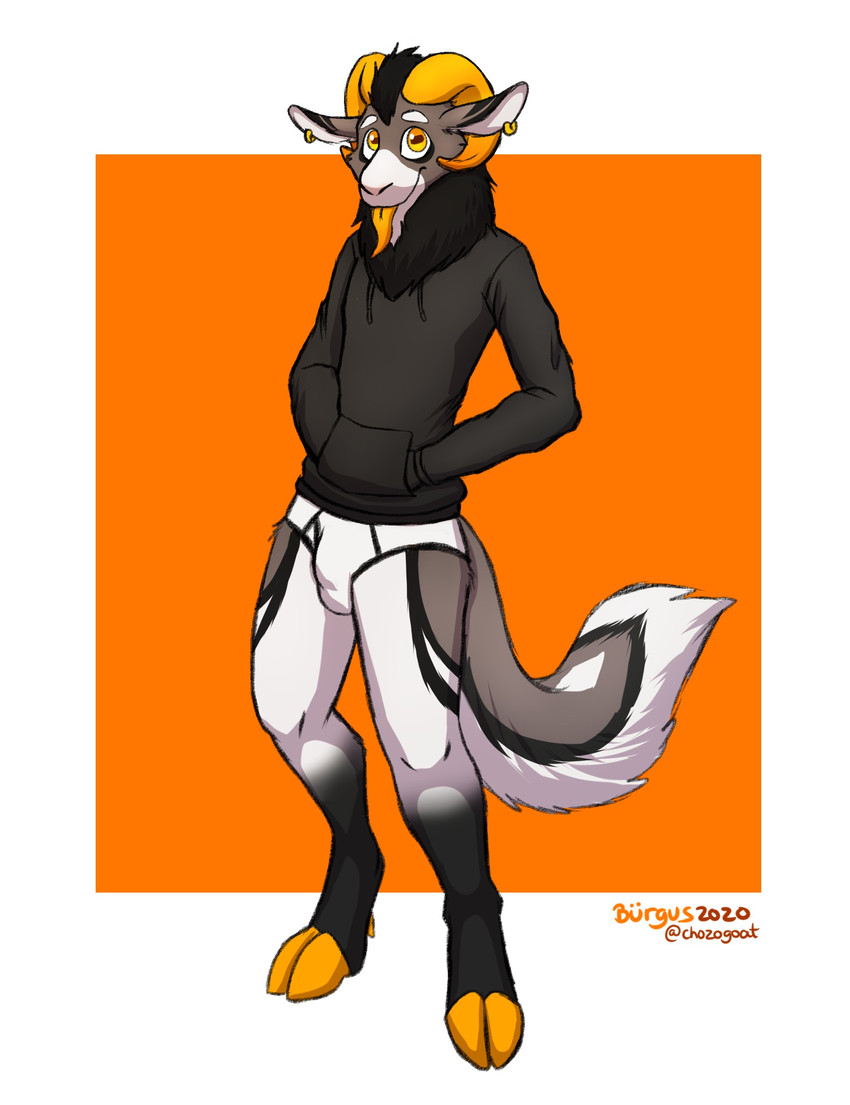 anthro briefs bulge clothing drawyourfursona ear_piercing fur hoodie hoodie/briefs_meme male piercing simple_background solo standing topwear underwear white_body white_fur chozogoat burgus_(chozogoat) bovid caprine goat mammal absurd_res hi_res