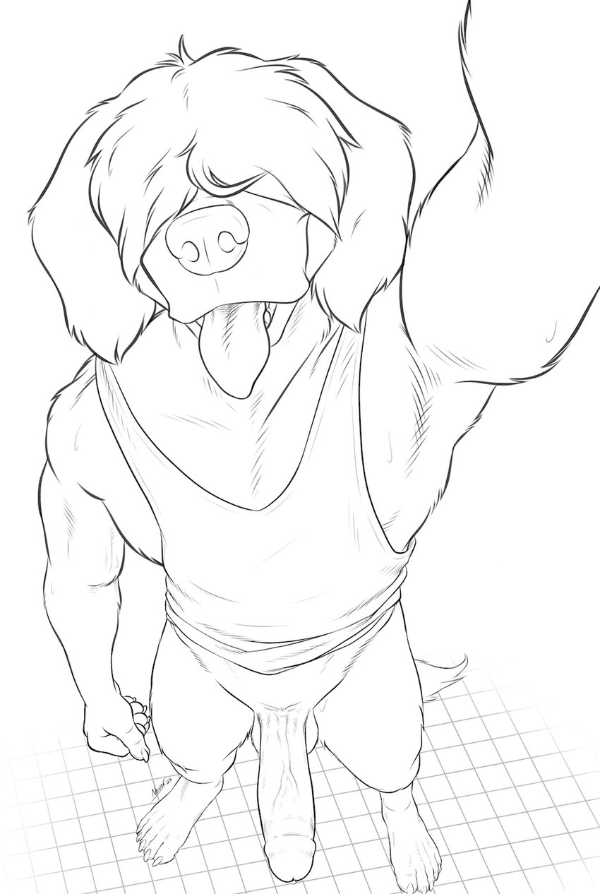 anthro athletic athletic_anthro athletic_male big_penis blep bodily_fluids circumcised circumcision_scar clothing erection genital_scar genitals hair hair_over_eye hair_over_eyes humanoid_genitalia humanoid_penis male muscular muscular_male one_eye_obstructed penis raised_arm scar selfie shirt simple_background smile solo standing sweat sweatdrop tank_top tongue tongue_out topwear vein veiny_penis neverwolf beastars collot_(beastars) canid canine canis domestic_dog herding_dog mammal old_english_sheepdog pastoral_dog sheepdog hi_res monochrome