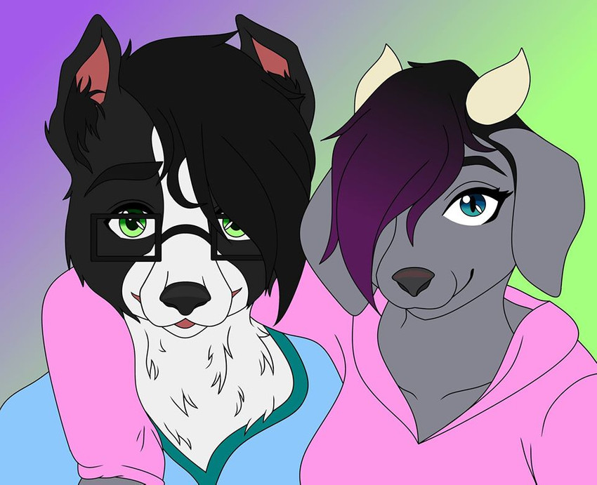 anthro duo eyewear female glasses male soff-t-bean rose_(rosethegoat) border_collie bovid canid canine canis caprine collie domestic_dog goat herding_dog mammal pastoral_dog sheepdog