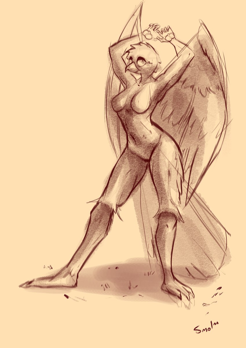 alleya anthro birdofprey breasts feathers female neutral_expression small_breasts solo standing stretching thick_thighs wings smolspearrow bethesda_game_studios microsoft skyrim the_elder_scrolls accipitriform avian bird absurd_res hi_res sketch