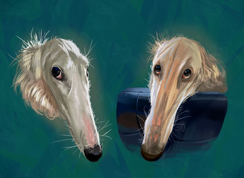 ambiguous_gender black_nose feral floppy_ears fur long_snout snout solo whiskers white_body white_fur rappenem cc-by-nc creative_commons let_me_do_it_for_you borzoi canid canine canis domestic_dog hunting_dog mammal sighthound digital_media_(artwork) hi_res meme