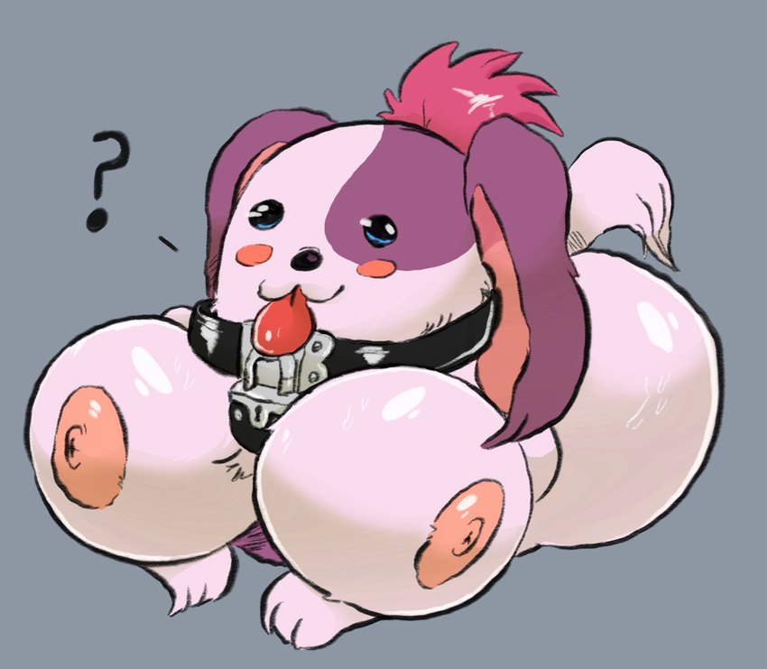 :3 areola big_breasts blue_eyes blush blush_stickers breasts busty_feral butt collar collar_only facial_markings female feral fur grey_background head_markings huge_breasts lock markings multicolored_body multicolored_fur nipples nude padlock padlocked_collar pink_areola pink_body pink_fur purple_ears purple_markings quadruped question_mark simple_background smile solo tongue tongue_out what why simplybobcat chrono_cross poshul canid canine canis domestic_dog mammal poodle digital_media_(artwork) hi_res shaded soft_shading