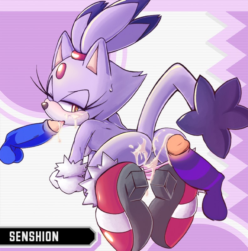 big the cat, blaze the cat, and sonic the hedgehog (sonic the hedgehog (series) and etc) created by senshion