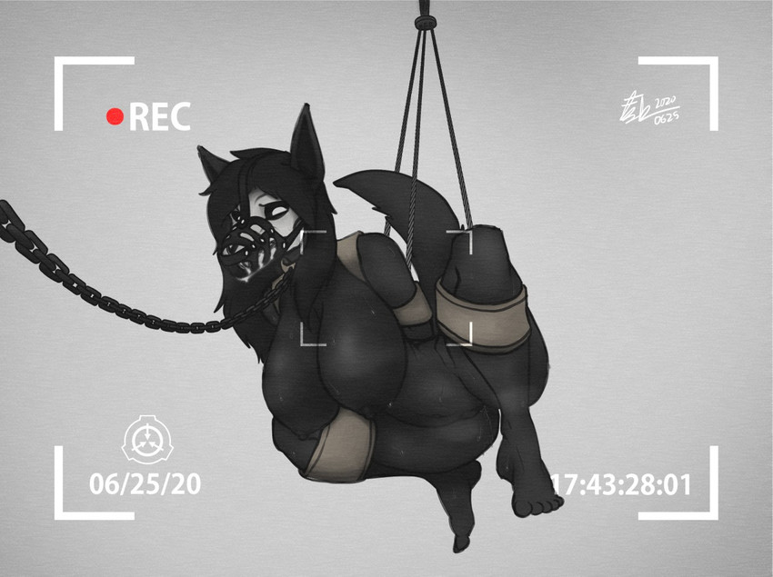 anthro arms_tied bdsm black_body black_fur black_hair bodily_fluids bondage bone bound breasts chain drooling feet female frogtied fur gag genitals hair hands_behind_back hanging_breasts hud humanoid_feet legs_tied muzzle_(object) muzzled plantigrade pussy saliva skull skull_head solo suspension sweat coalcat scp_foundation scp-1471-a canid canine malo mammal monster 2020 film_grain story