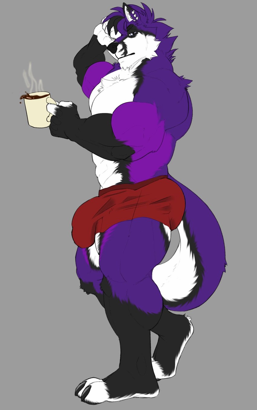 abs anthro beverage biceps black_body black_fur bulge claws clothed clothing coffee coffee_mug deltoids ear_piercing ear_stud fingerless_(marking) fingerless_gloves_(marking) fur gloves_(marking) grey_background hair holding_coffee_mug leg_markings male markings multicolored_body multicolored_fur muscular muscular_thighs pecs piercing purple_body purple_eyes purple_fur purple_hair red_clothing red_underwear simple_background socks_(marking) solo toe_claws underwear underwear_only white_body white_fur kyojufolf shyloc canid canine canis fox hybrid mammal wolf hi_res