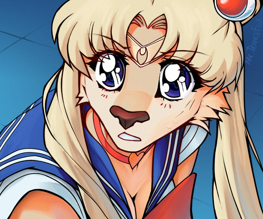 sailor moon redraw challenge and etc created by macmegagerc