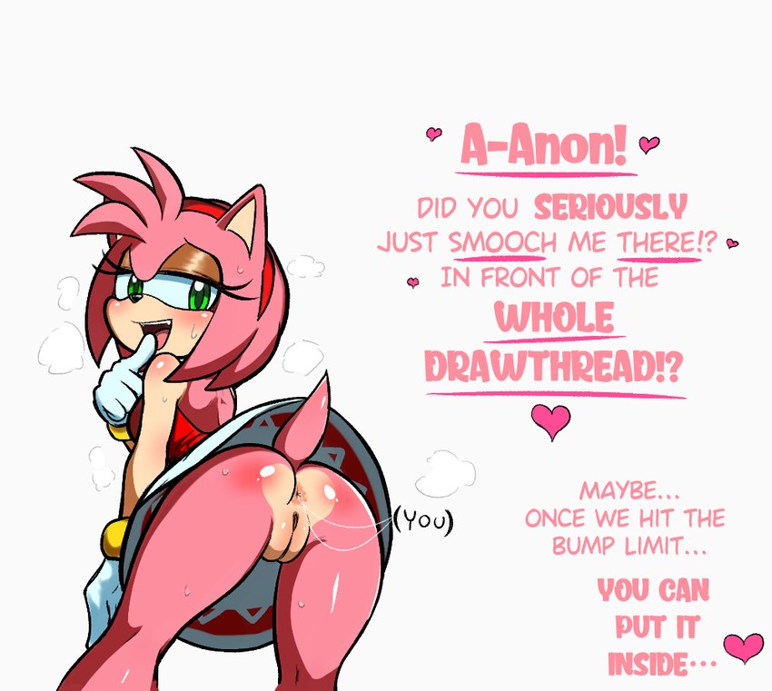 amy rose (sonic the hedgehog (series) and etc) created by unknown artist