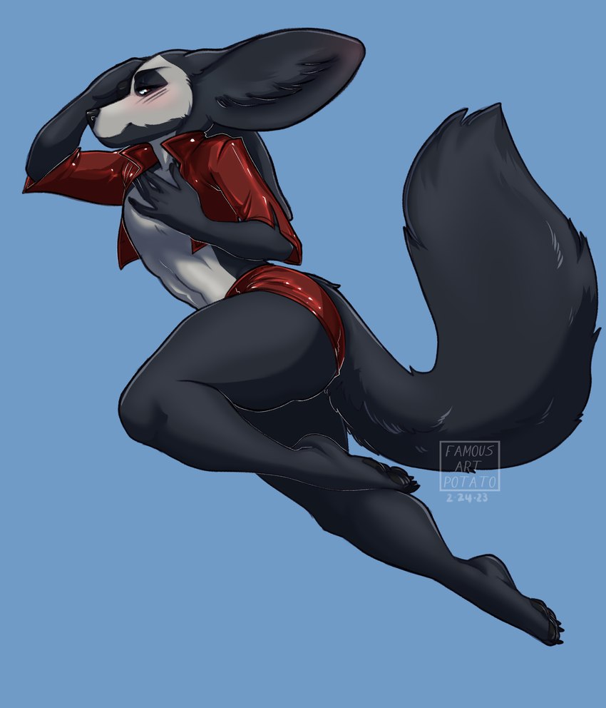 anthro black_body black_fur blush cropped_jacket fur leather male pose posing_for_picture red_eyes red_leather skimpy_bottomwear skull_pattern solo white_body white_fur famousartpotato xiro_decobray canid canine fennec_fox fox mammal true_fox absurd_res hi_res