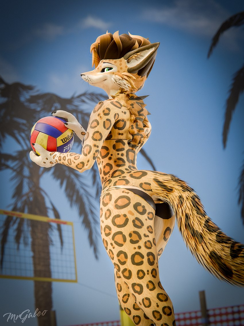 anthro ball beach bikini bikini_bottom bikini_top butt clothed clothing female fur green_eyes hair looking_at_viewer net outside seaside simple_background sky smile solo sport spots swimwear tail two-piece_swimsuit volleyball volleyball_(ball) volleyball_court volleyball_net mrgaleo felid leopard mammal pantherine 3:4 3d_(artwork) digital_media_(artwork) hi_res