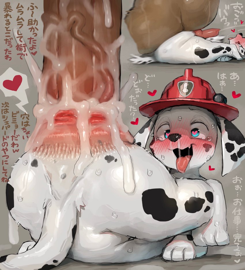 anal anal_penetration anal_prolapse anal_tugging animal_genitalia animal_penis anthro anthro_penetrated bestiality big_penis biped blue_eyes brown_penis canine_genitalia canine_penis duo erection feral genitals grey_background heart_eyes heart_symbol huge_penis hyper hyper_genitalia hyper_penis knot lying male male/male male_penetrated male_penetrating male_penetrating_male on_back penetration penile penile_penetration penis pink_penis prolapse sex simple_background text tongue tongue_out white_body young syuro paw_patrol marshall_(paw_patrol) canid canine canis dalmatian domestic_dog mammal 2025 hi_res partially_translated translation_request