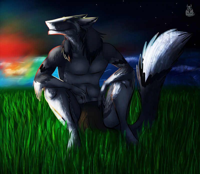 anthro grass happy male night outside plant sky smile solo star sunrise tail water dantalian_letrou mammal sergal alex_(disambiguation) 2012 hi_res