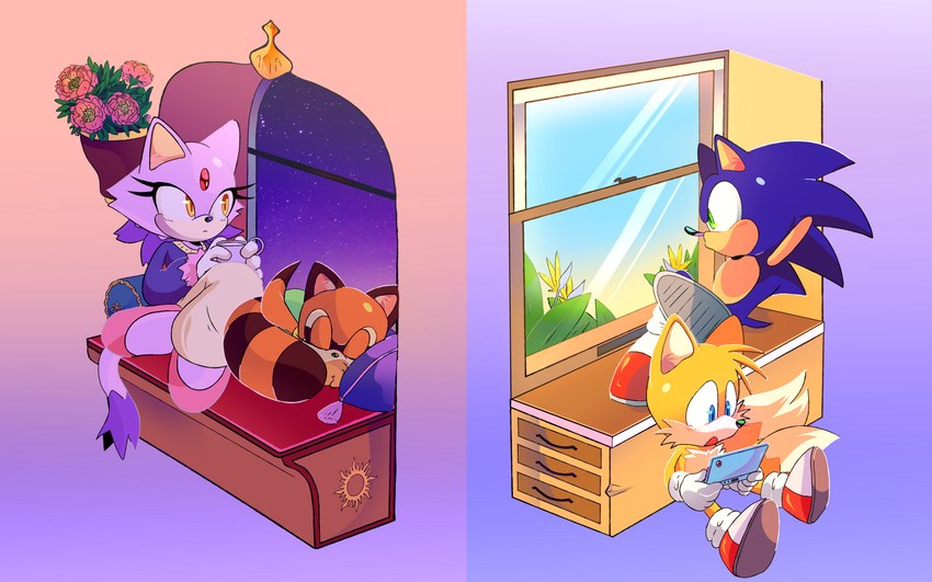 anthro blue_body blue_eyes blue_fur countershading day female fur green_eyes group looking_out_window male night orange_body orange_fur purple_body purple_fur sleeping window yellow_eyes spinstellar nintendo nintendo_ds_family sega sonic_the_hedgehog_(series) blaze_the_cat marine_the_raccoon miles_prower sonic_the_hedgehog canid canine domestic_cat eulipotyphlan felid feline felis fox hedgehog humanoid mammal procyonid raccoon 16:10 absurd_res hi_res widescreen