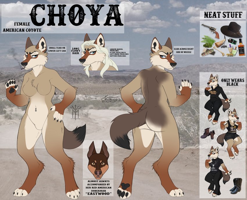 anthro breasts desert female solo text thehuntingwolf choya canid canine canis coyote domestic_dog mammal absurd_res digital_media_(artwork) english_text full-length_portrait hi_res model_sheet portrait