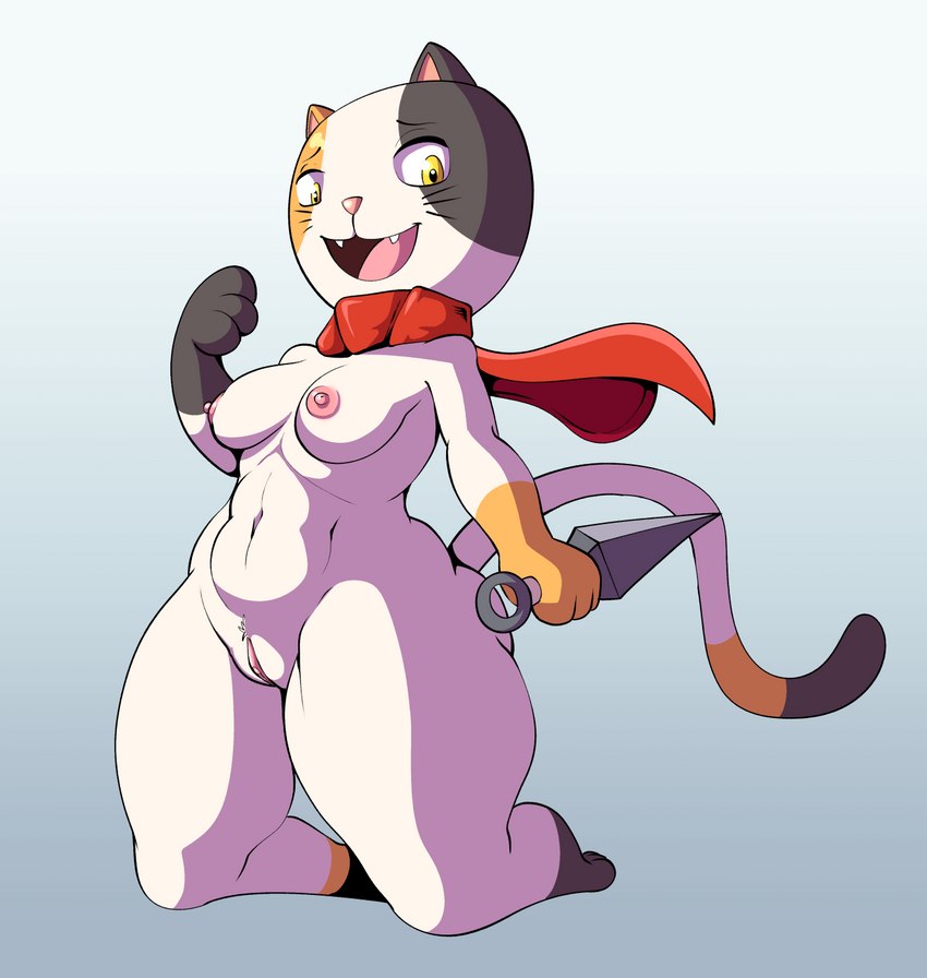 anthro breasts female genitals kunai ninja pussy scarf short_stack solo thick_thighs warrior weapon fourssss doodle_champion_island_games google google_doodle lucky_(google) domestic_cat felid feline felis mammal hi_res