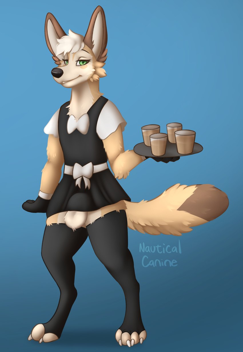 anthro balls beverage big_ears black_clothing black_leggings black_legwear black_nose blue_background bow_ribbon brown_body brown_fur clothing fur genitals green_eyes leggings legwear maid_uniform male serving_beverage serving_tray simple_background solo tail uniform white_bow white_clothing nauticalcanine divi_(divinefennec) canid canine fennec_fox fox mammal true_fox absurd_res hi_res